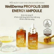 SerumkeoongPropolis1000WelldermaHQ50ml